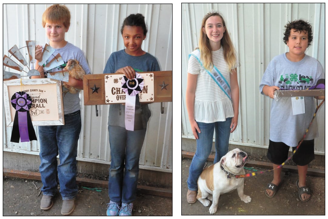 Grundy County Fair 4H pet show has unusual overall champion News